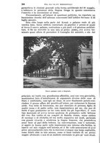 giornale/RAV0105511/1903/N.189/00000376