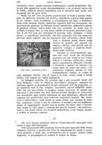 giornale/RAV0105511/1903/N.189/00000534