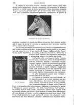 giornale/RAV0105511/1903/N.189/00000536