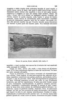 giornale/RAV0105511/1904/N.193/00000537