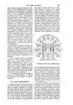 giornale/RAV0105511/1904/N.193/00000699