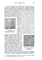 giornale/RAV0105511/1904/N.194/00000459