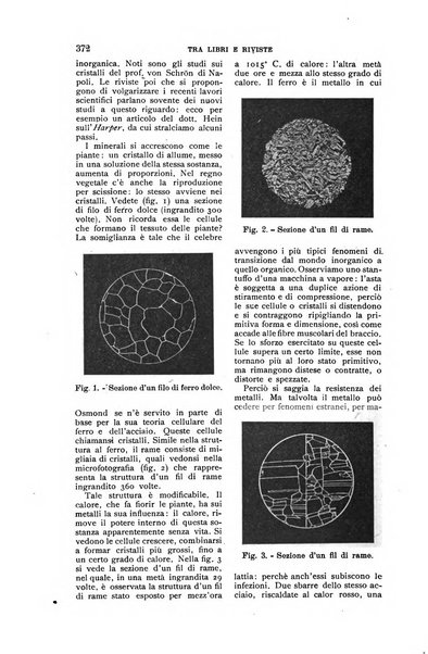 Nuova antologia di lettere, scienze ed arti