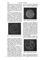 giornale/RAV0105511/1904/N.195/00000358