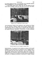 giornale/RAV0105511/1904/N.195/00000523