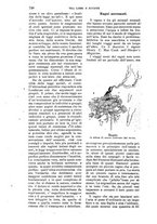 giornale/RAV0105511/1904/N.195/00000742