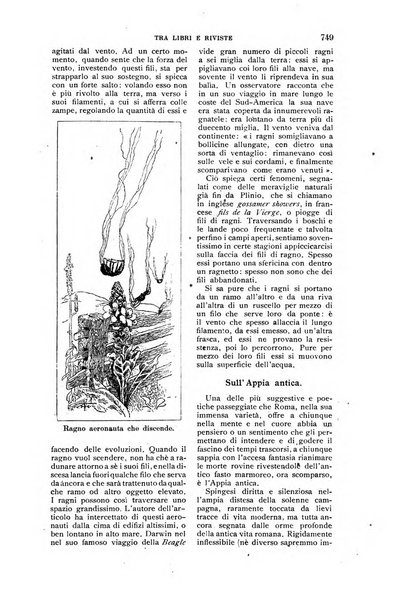 Nuova antologia di lettere, scienze ed arti