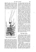 giornale/RAV0105511/1904/N.195/00000743