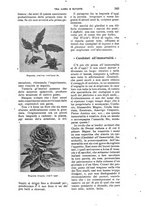 giornale/RAV0105511/1904/N.196/00000353