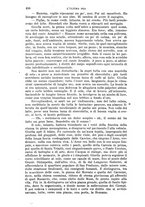 giornale/RAV0105511/1904/N.198/00000472