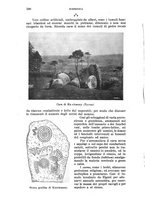 giornale/RAV0105511/1905/N.199/00000620