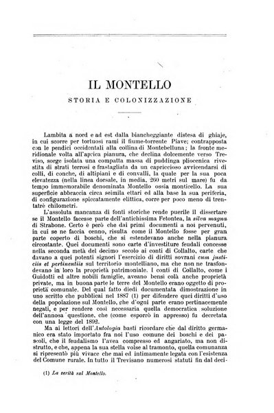 Nuova antologia di lettere, scienze ed arti