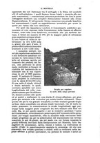 giornale/RAV0105511/1905/N.200/00000093