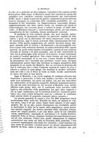 giornale/RAV0105511/1905/N.200/00000099