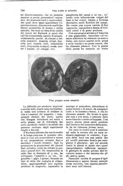 Nuova antologia di lettere, scienze ed arti