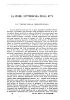 giornale/RAV0105511/1905/N.204/00000253