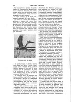 giornale/RAV0105511/1906/N.205/00000186