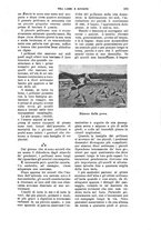 giornale/RAV0105511/1906/N.205/00000187