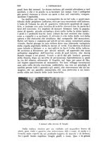 giornale/RAV0105511/1906/N.210/00000638