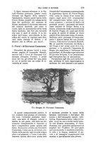 giornale/RAV0105511/1907/N.214/00000187