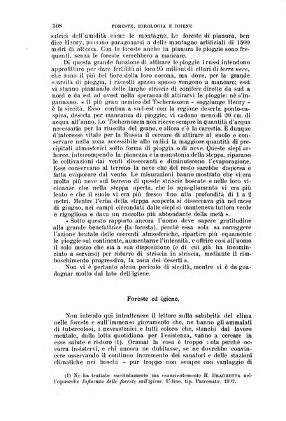 Nuova antologia di lettere, scienze ed arti