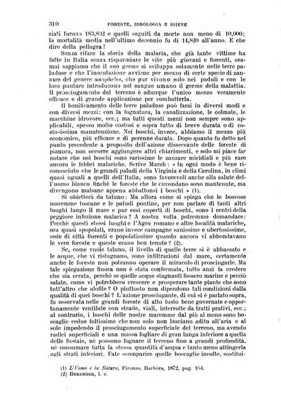 Nuova antologia di lettere, scienze ed arti