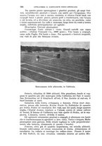 giornale/RAV0105511/1907/N.215/00000380