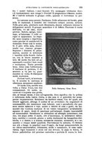 giornale/RAV0105511/1907/N.216/00000409