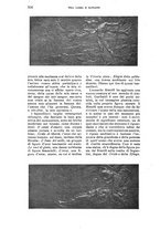 giornale/RAV0105511/1908/N.219/00000582