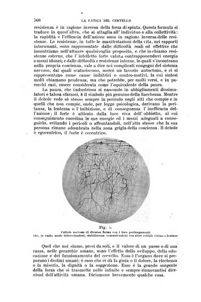 Nuova antologia di lettere, scienze ed arti