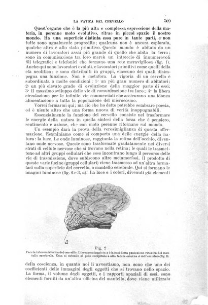 Nuova antologia di lettere, scienze ed arti