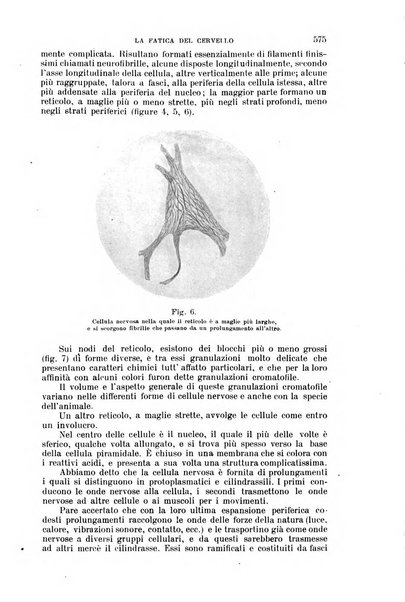 Nuova antologia di lettere, scienze ed arti