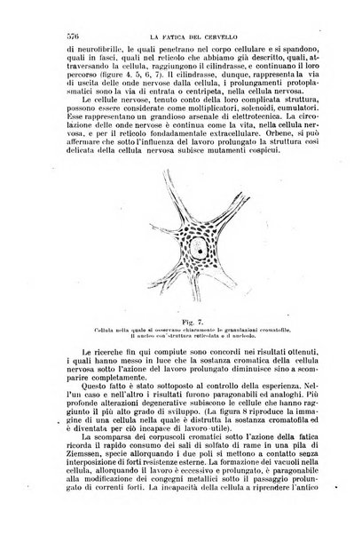 Nuova antologia di lettere, scienze ed arti