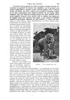 giornale/RAV0105511/1908/N.221/00000223