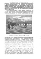 giornale/RAV0105511/1908/N.222/00000593