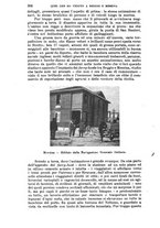 giornale/RAV0105511/1909/N.225/00000312