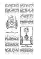 giornale/RAV0105511/1910/N.229/00000387