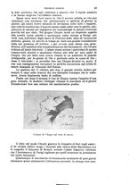 giornale/RAV0105511/1910/N.230/00000049