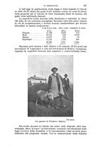 giornale/RAV0105511/1910/N.230/00000463