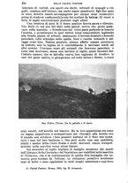 giornale/RAV0105511/1910/N.233/00000260