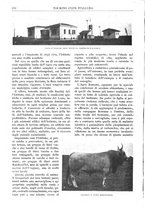 giornale/RAV0108470/1917/unico/00000184