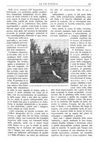 giornale/RAV0108470/1918/unico/00000359