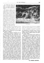 giornale/RAV0108470/1918/unico/00000567