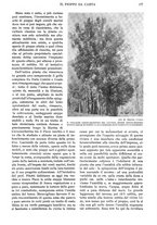 giornale/RAV0108470/1923/unico/00000185