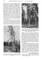 giornale/RAV0108470/1923/unico/00000186