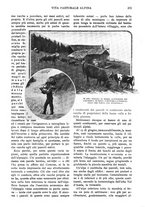 giornale/RAV0108470/1923/unico/00000391