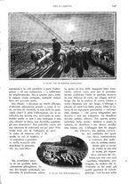 giornale/RAV0108470/1923/unico/00000985