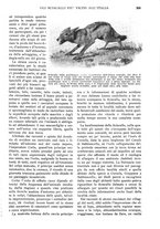 giornale/RAV0108470/1924/unico/00000283