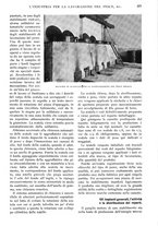 giornale/RAV0108470/1924/unico/00000395