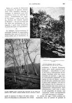 giornale/RAV0108470/1924/unico/00000533